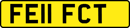 FE11FCT