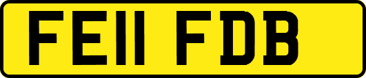FE11FDB