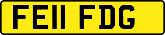 FE11FDG