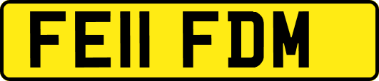 FE11FDM