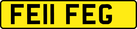 FE11FEG