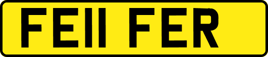 FE11FER