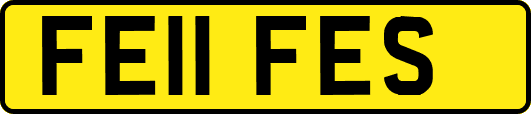 FE11FES