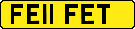 FE11FET