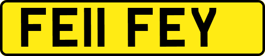 FE11FEY