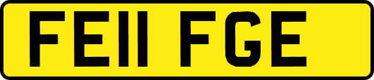 FE11FGE