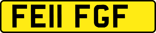 FE11FGF