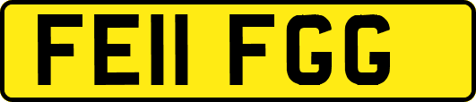 FE11FGG