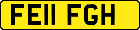 FE11FGH