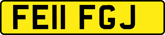 FE11FGJ
