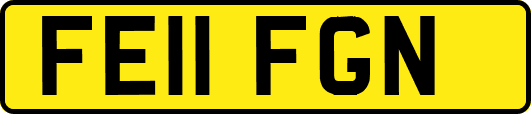 FE11FGN