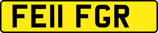 FE11FGR