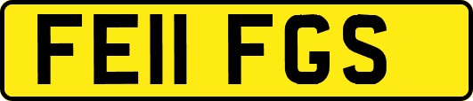 FE11FGS