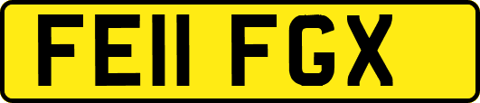 FE11FGX