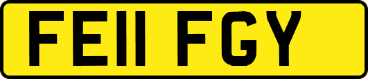 FE11FGY