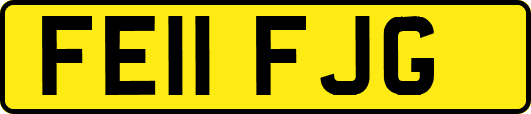 FE11FJG
