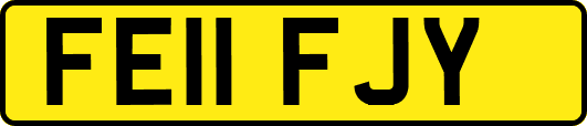 FE11FJY