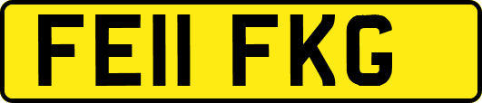 FE11FKG