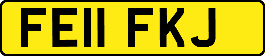 FE11FKJ