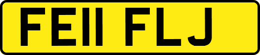 FE11FLJ