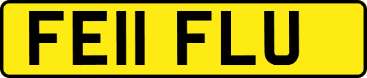 FE11FLU