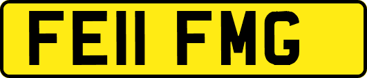 FE11FMG