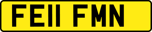 FE11FMN