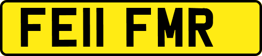 FE11FMR