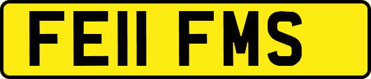 FE11FMS