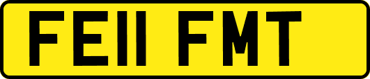FE11FMT