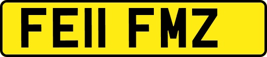 FE11FMZ