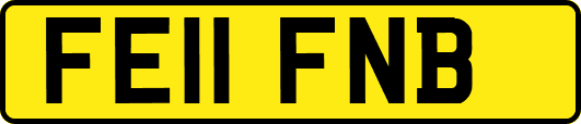 FE11FNB