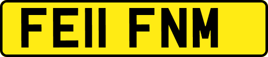 FE11FNM