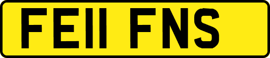 FE11FNS