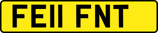 FE11FNT