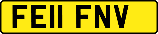 FE11FNV