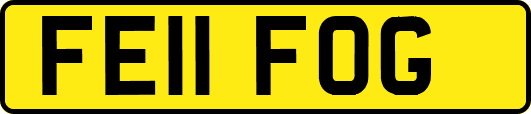 FE11FOG