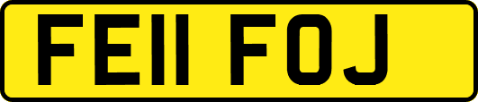 FE11FOJ