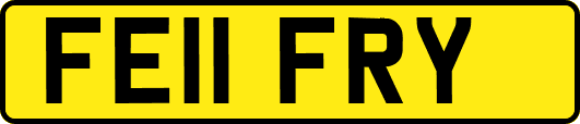 FE11FRY
