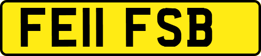 FE11FSB