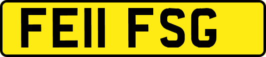 FE11FSG