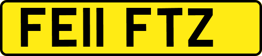 FE11FTZ