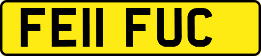 FE11FUC