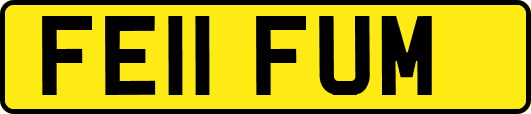 FE11FUM