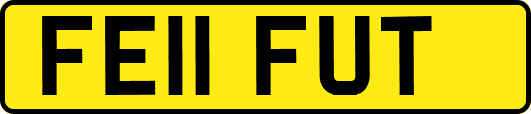 FE11FUT