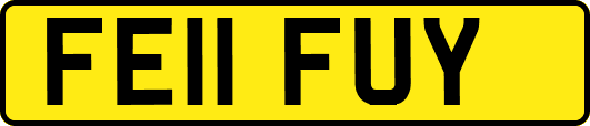 FE11FUY