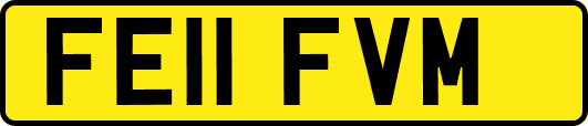FE11FVM