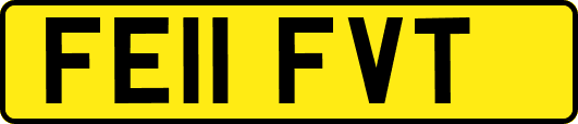 FE11FVT