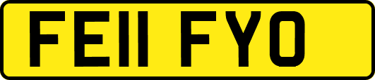 FE11FYO