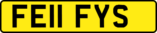 FE11FYS